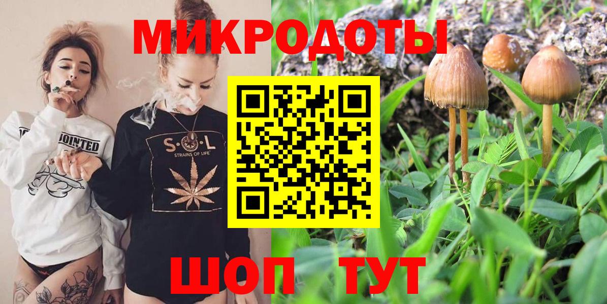 Псилоцибиновые грибы Psilocybe Кулебаки
