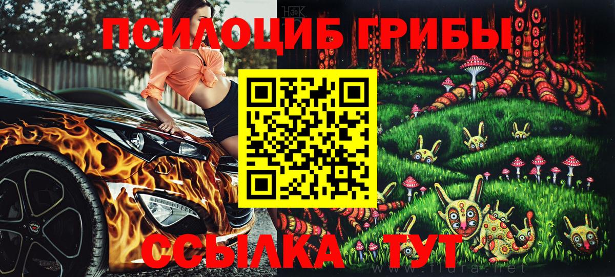 Псилоцибиновые грибы Cubensis  Псилоцибиновые грибы Cubensis  Кулебаки  Вход с VPN 